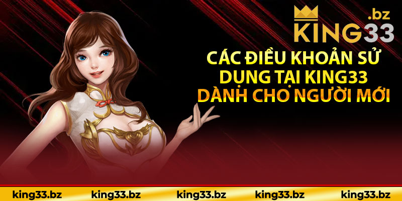 Các điều khoản sử dụng tại King33 dành cho người mới